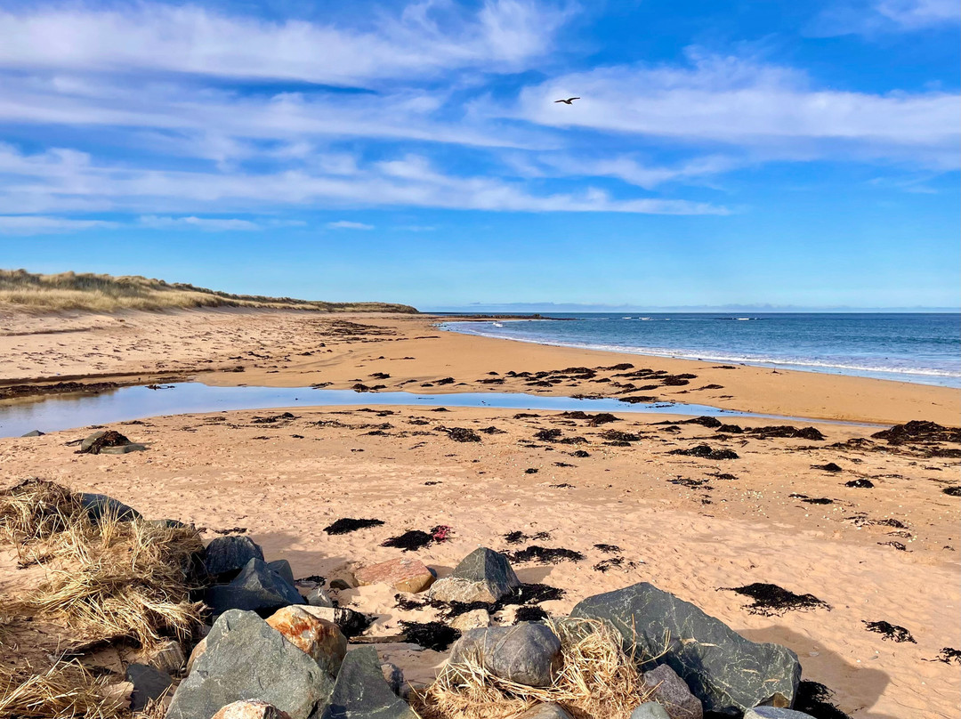 St Combs Beach-St Combs必去景点