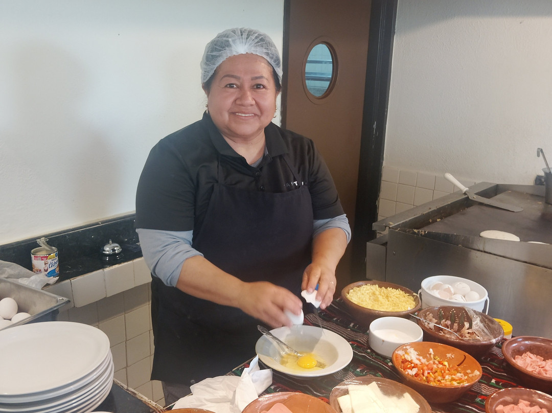 Mision Torreon主图