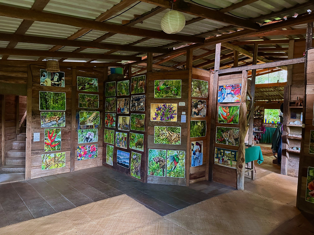 Sarah's Gallery景点图片
