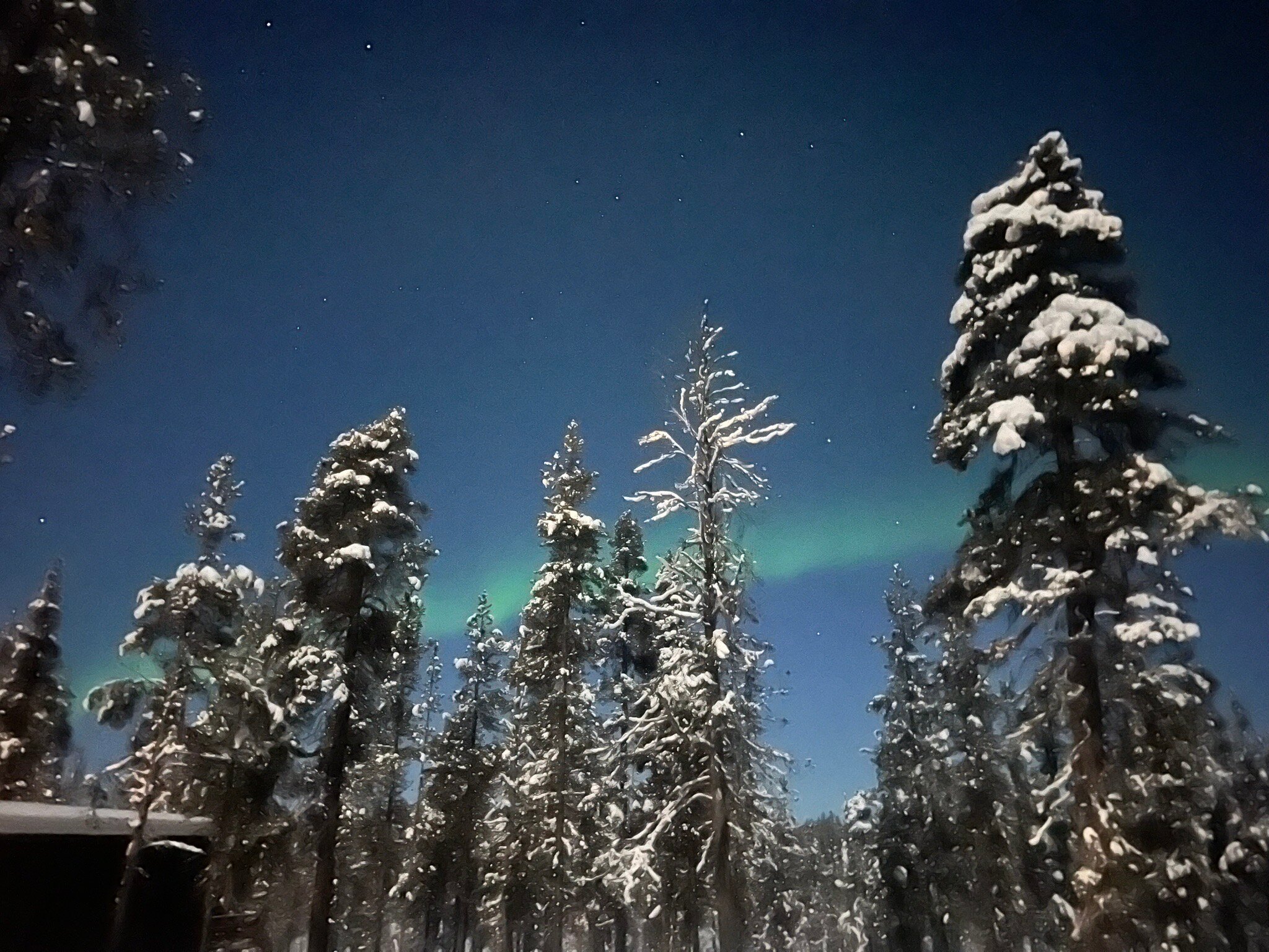 Aurora Queen Resort-官方