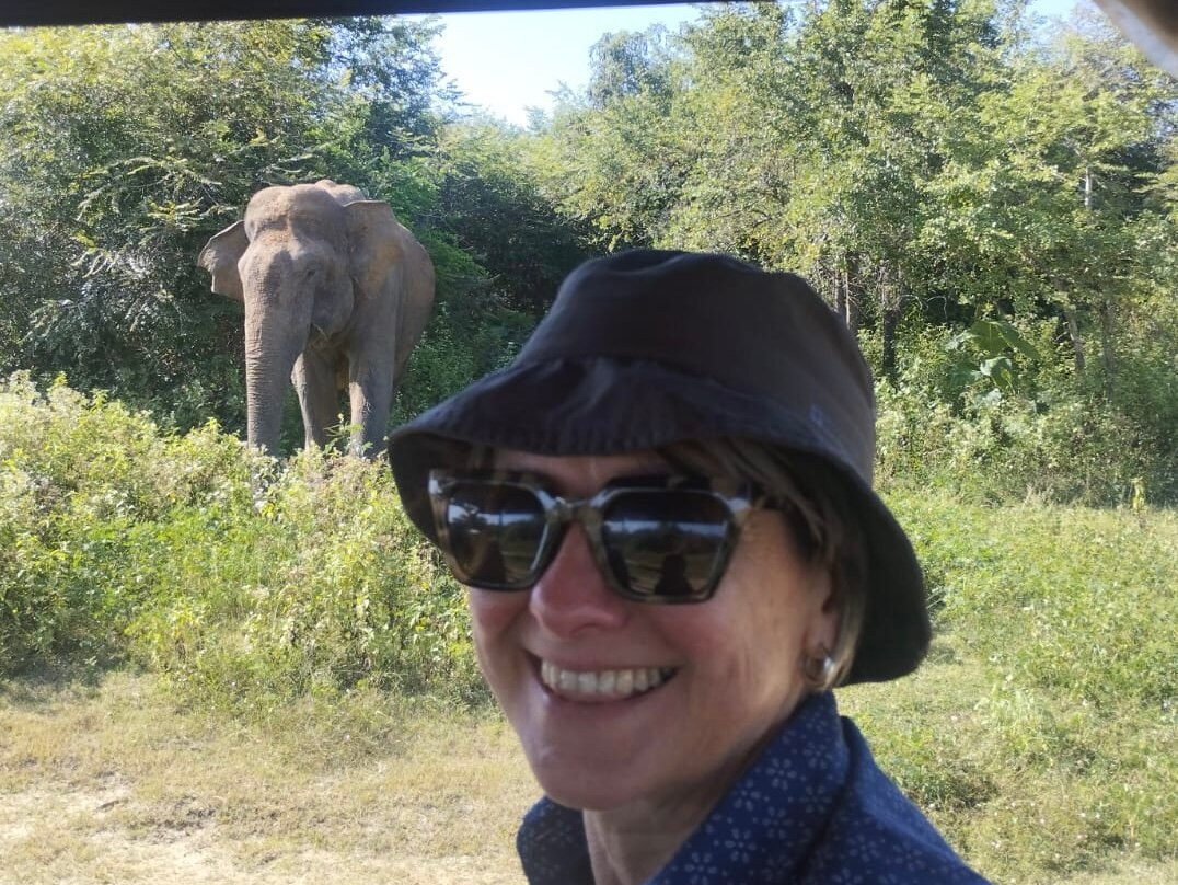 Green View Safari Resort主图