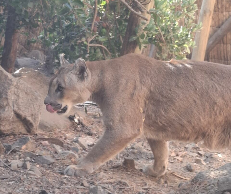Refugio Animal Cascada景点图片