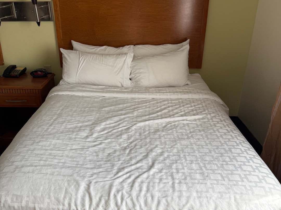 新伊比利亚烛木套房酒店主图