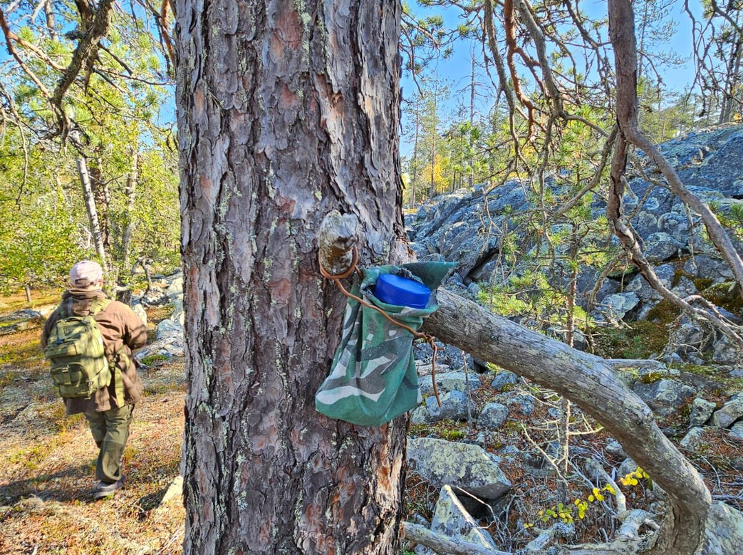 Uniq Lapland-Luosto必去景点