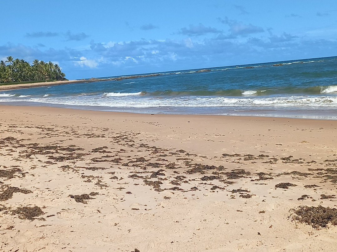 Bahia Plaza Hotel主图