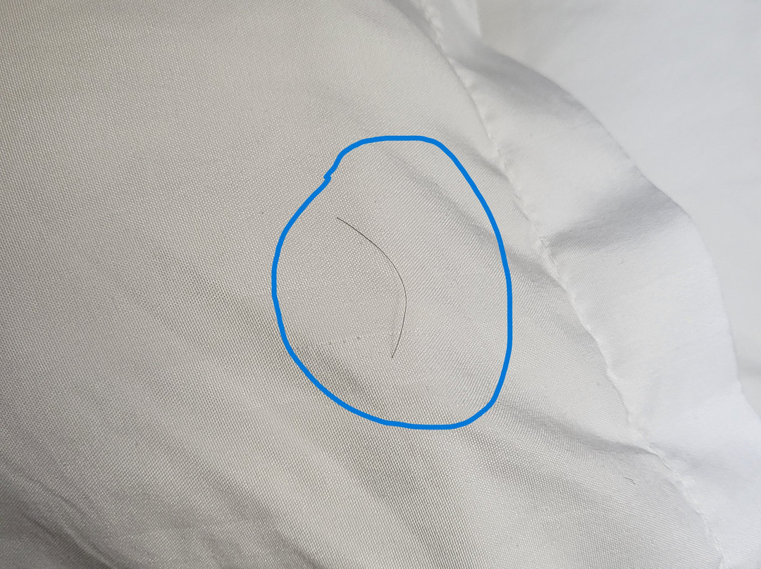 Best Western Lindale Inn主图