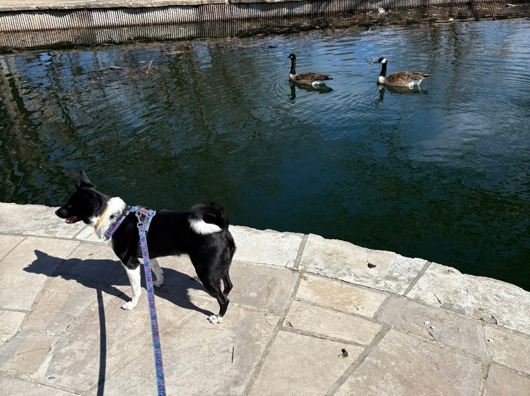 Loose Park-堪萨斯城必去景点