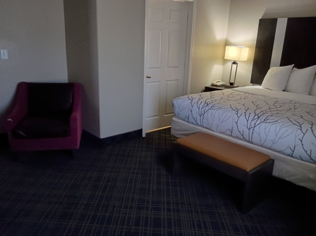Best Western Boerne Inn & Suites主图