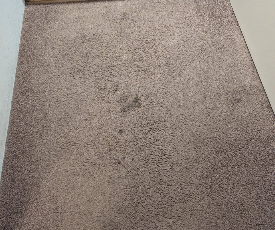 巴瑟尔顿博丹B＆B酒店主图