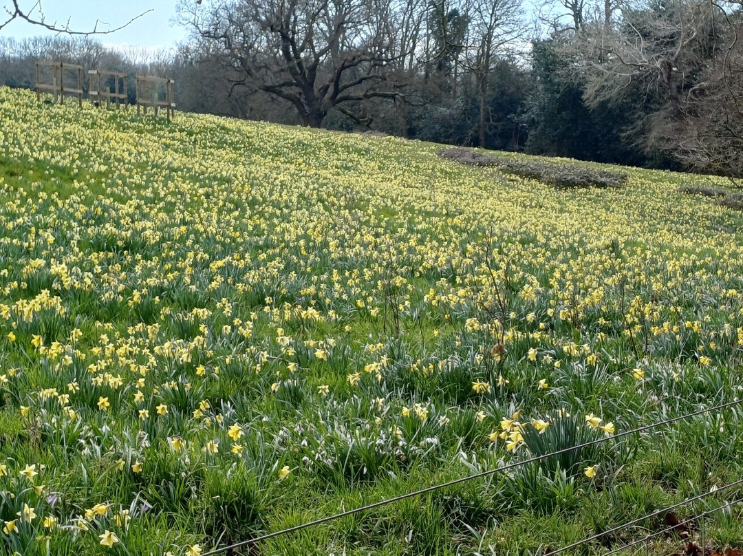 Warley Place Nature Reserve-布伦特伍德必去景点