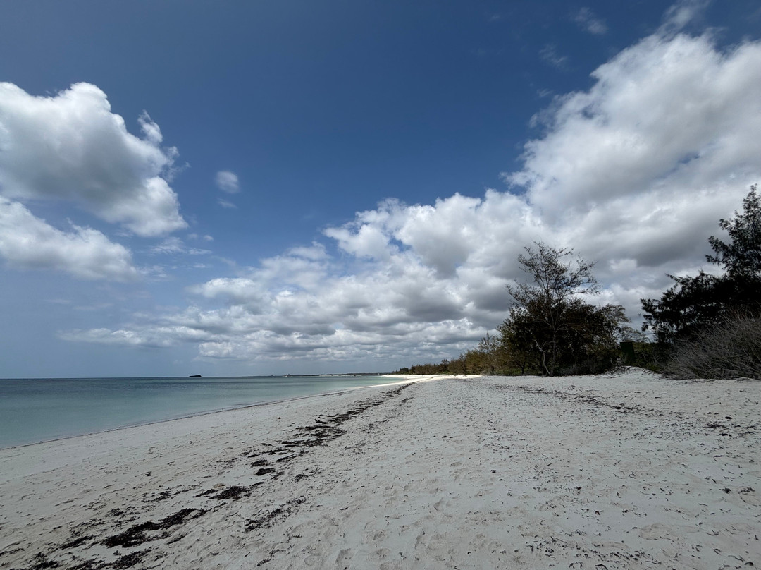 Echo Villas Watamu主图