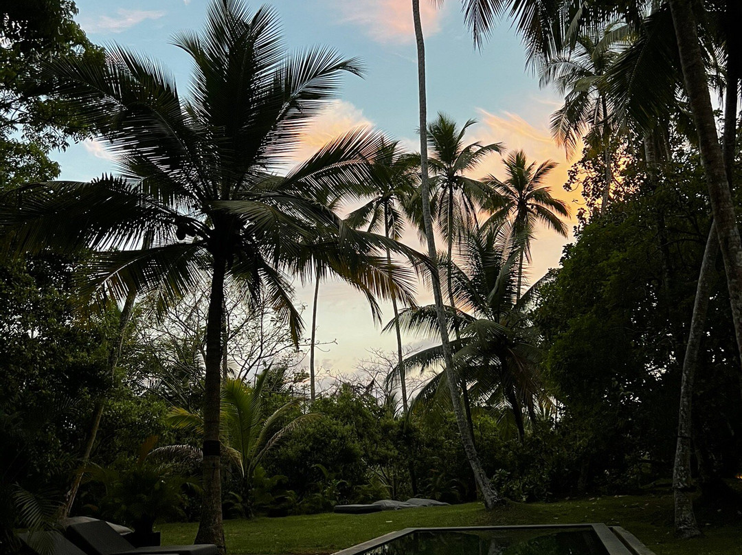 Macaw Holidays-科伦坡必去景点