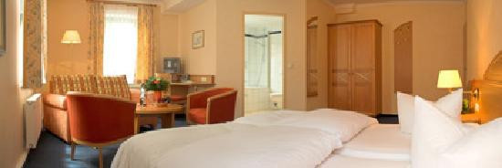 Hotel Anna Amalia主图