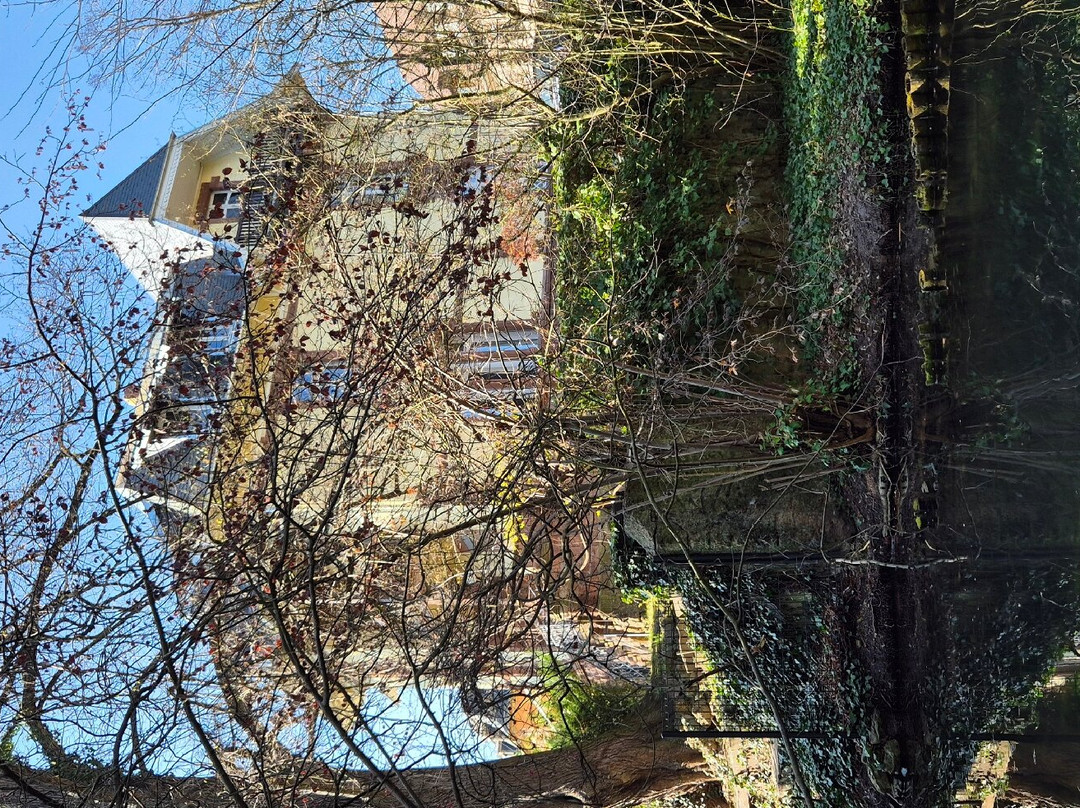 Barque Colmar "au fil de l’eau" - Sweet Narcisse-科尔马必去景点