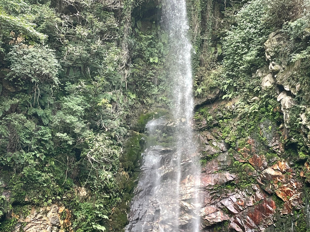 Chhoie Waterfall景点图片