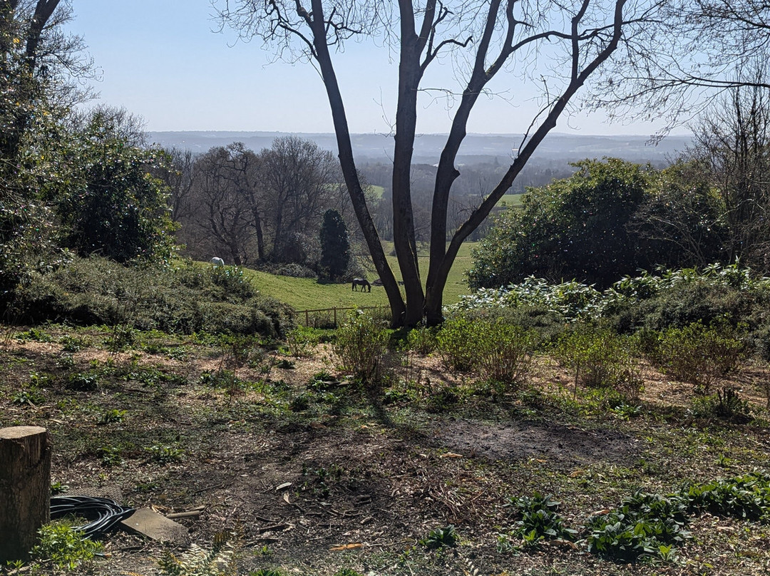 Riverhill Himalayan Gardens景点图片