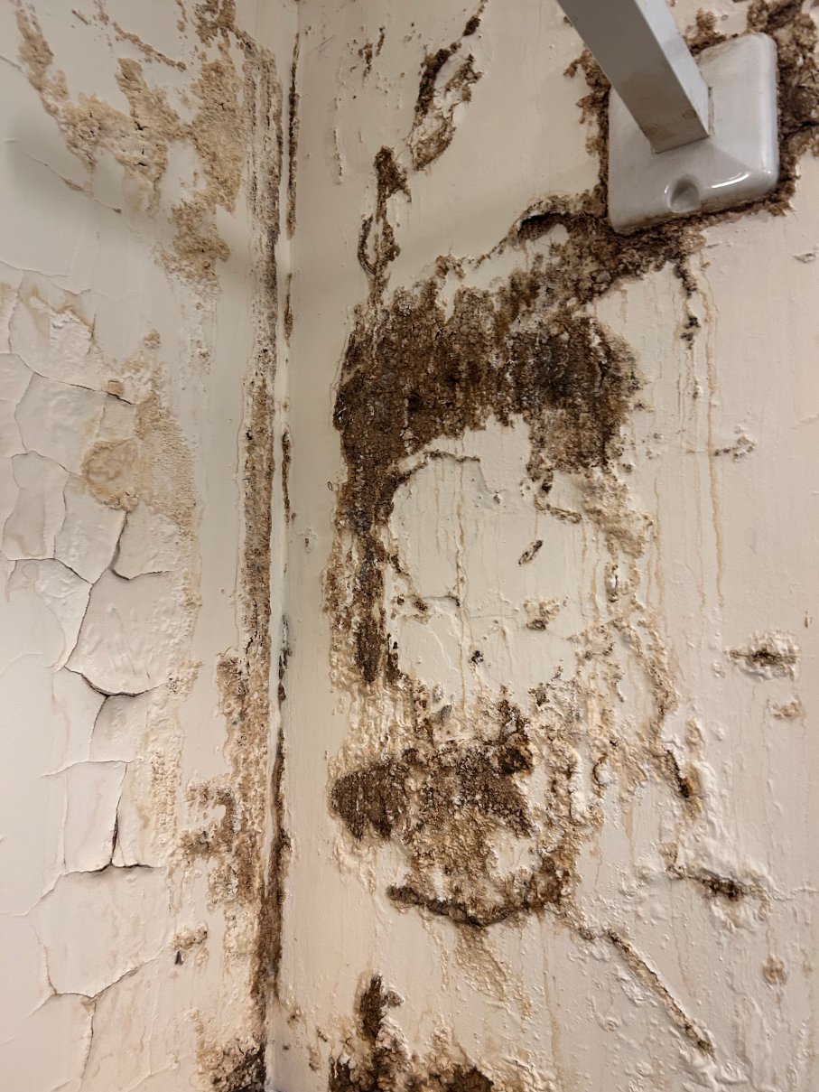 艾尔斯伯里贝尔酒店-官方