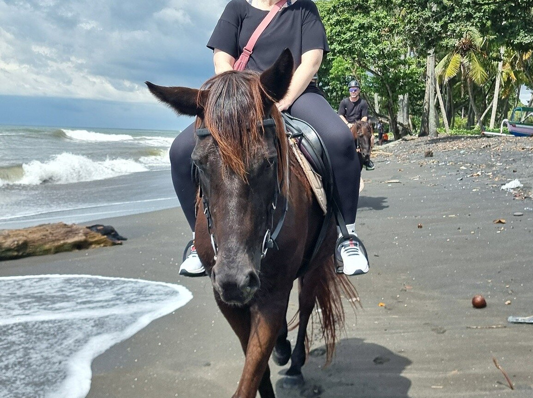 Bali Snap Trip-吉安雅必去景点