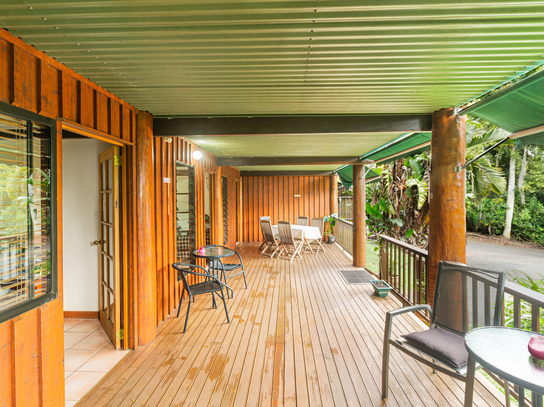 Atherton Blue Gum主图