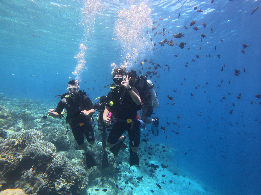 Bunaken National Marine Park景点图片
