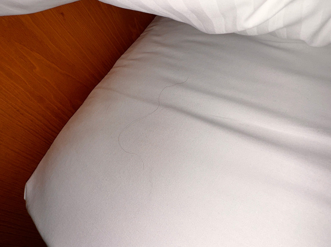 瑞士品质天箭座酒店主图