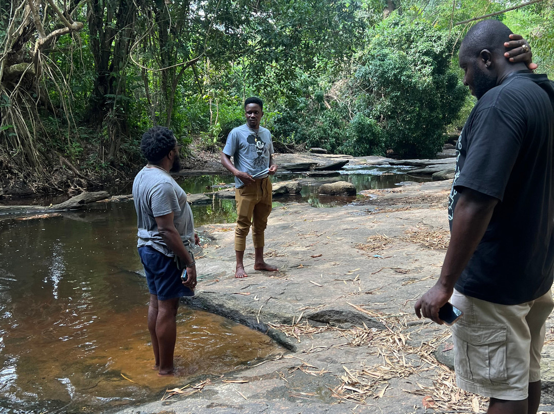 Blissworld Tours Horizon Hoppers-特马必去景点