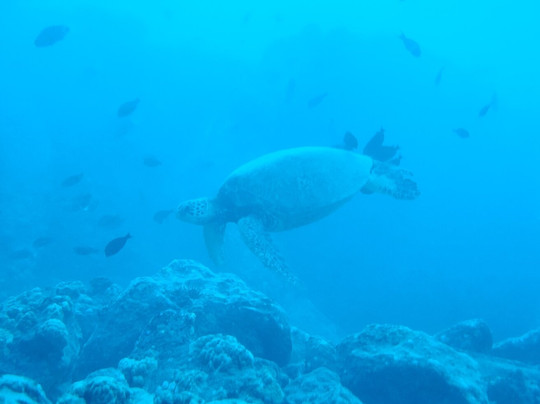 Makai Expeditions-考普雷必去景点