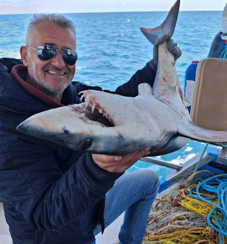 Let's Go Fishing -Chania Crete景点图片