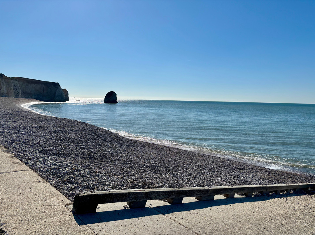 Freshwater Bay景点图片