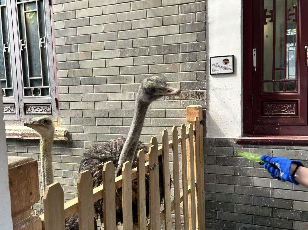 Haitan Ancient City Scenic Area-平潭县必去景点