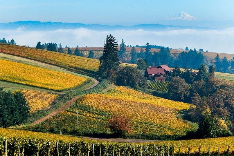 Peak Tours and Transit-波特兰必去景点