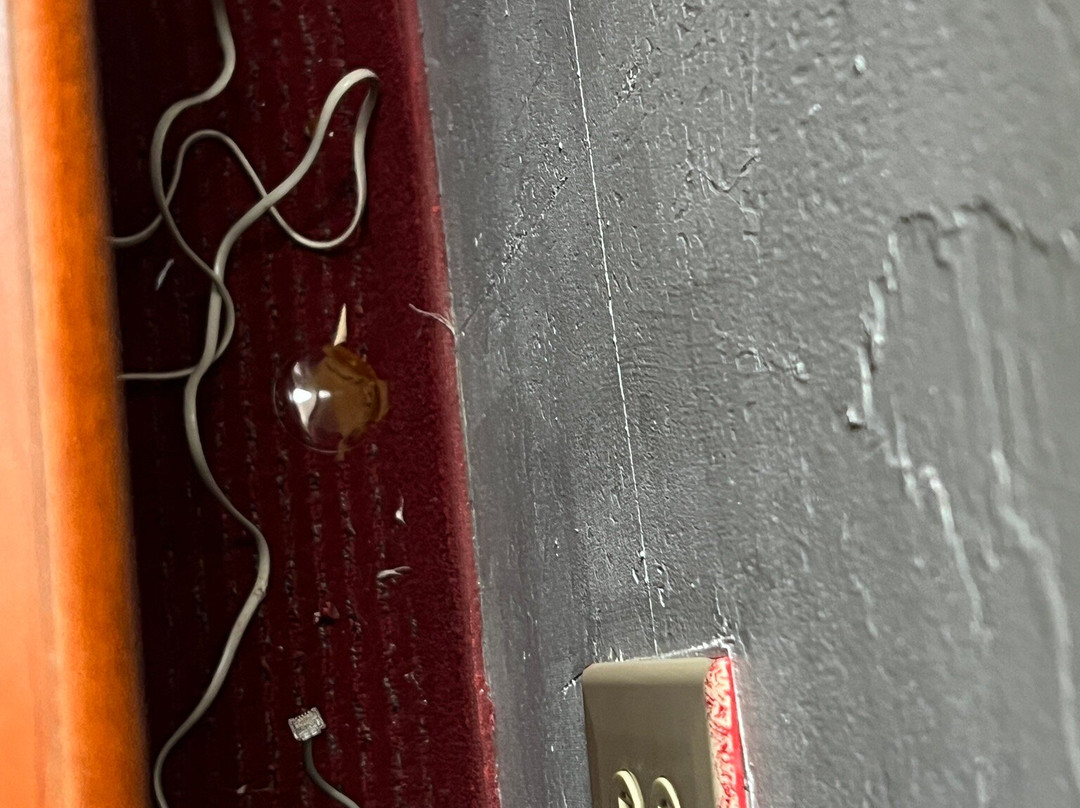 Wingate by Wyndham Mount Vernon主图