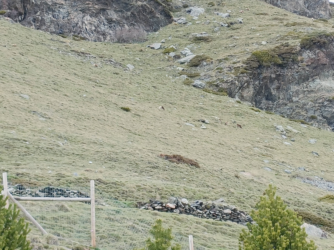 Cremallera De Nuria-Queralbs必去景点