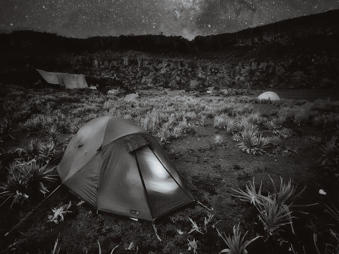 Bale Mountains Tours-Bale Mountains National Park必去景点