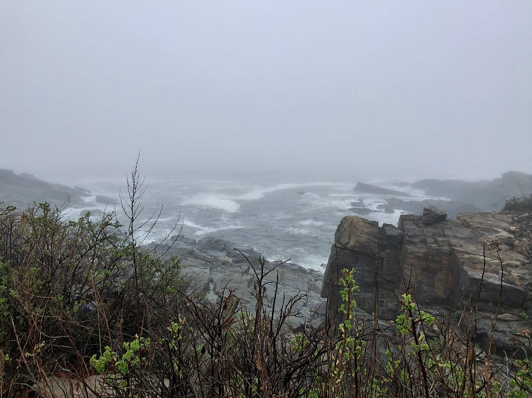 Casco Bay-波特兰必去景点