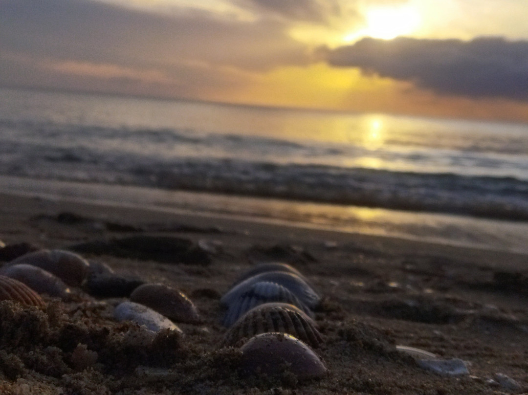 Tourist Complex Smir Park-费尼迪克必去景点