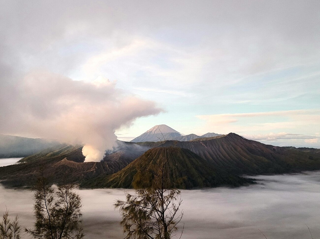 Seruni Point Bromo-Sukapura必去景点