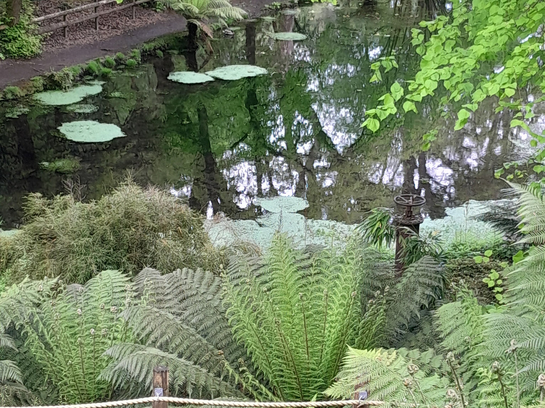 Enys Gardens-Penryn必去景点