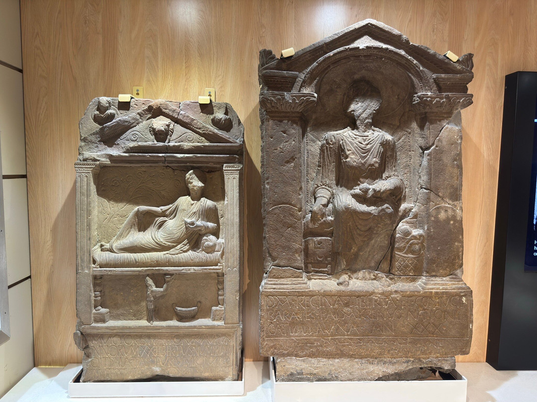 Arbeia, South Shields Roman Fort-南希尔兹必去景点