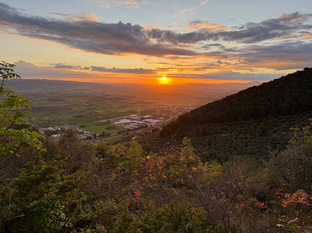 Agriturismo il Bastione主图