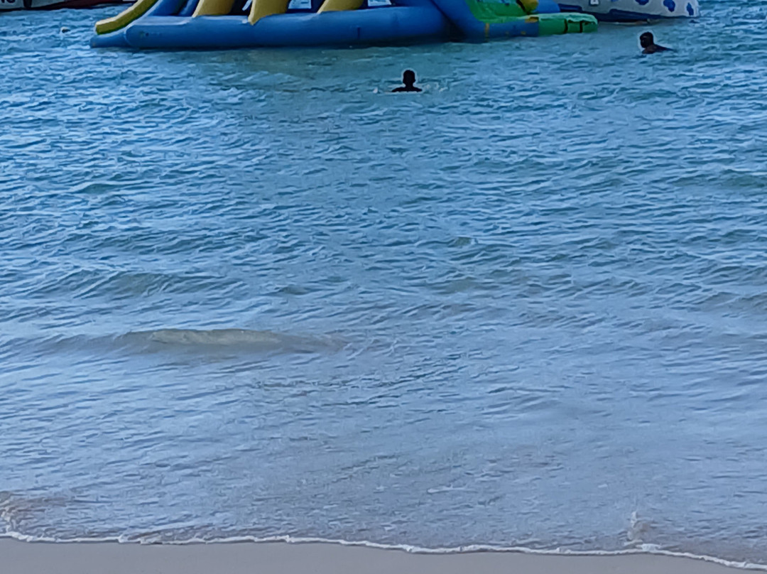 876 Beach Club-法尔茅斯必去景点