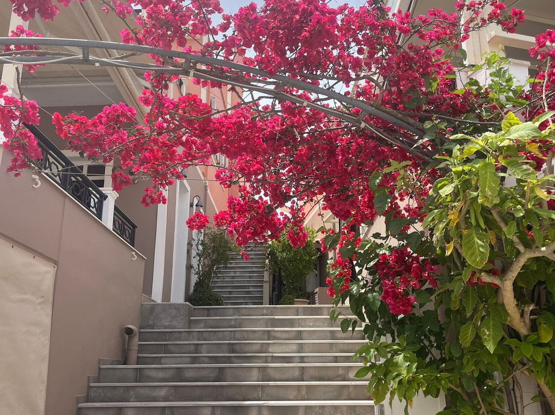 Kos Town, Greece.-Kos Town必去景点