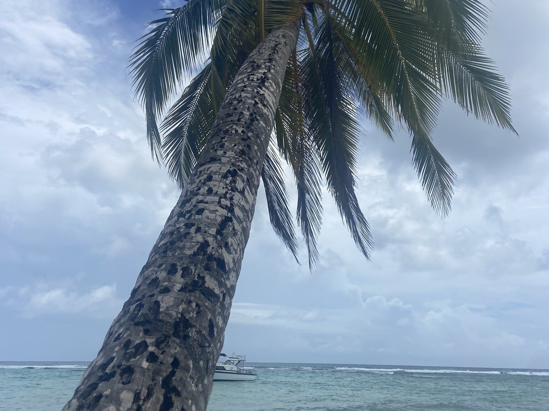 Crystal Waters Bar-Worthing必去景点