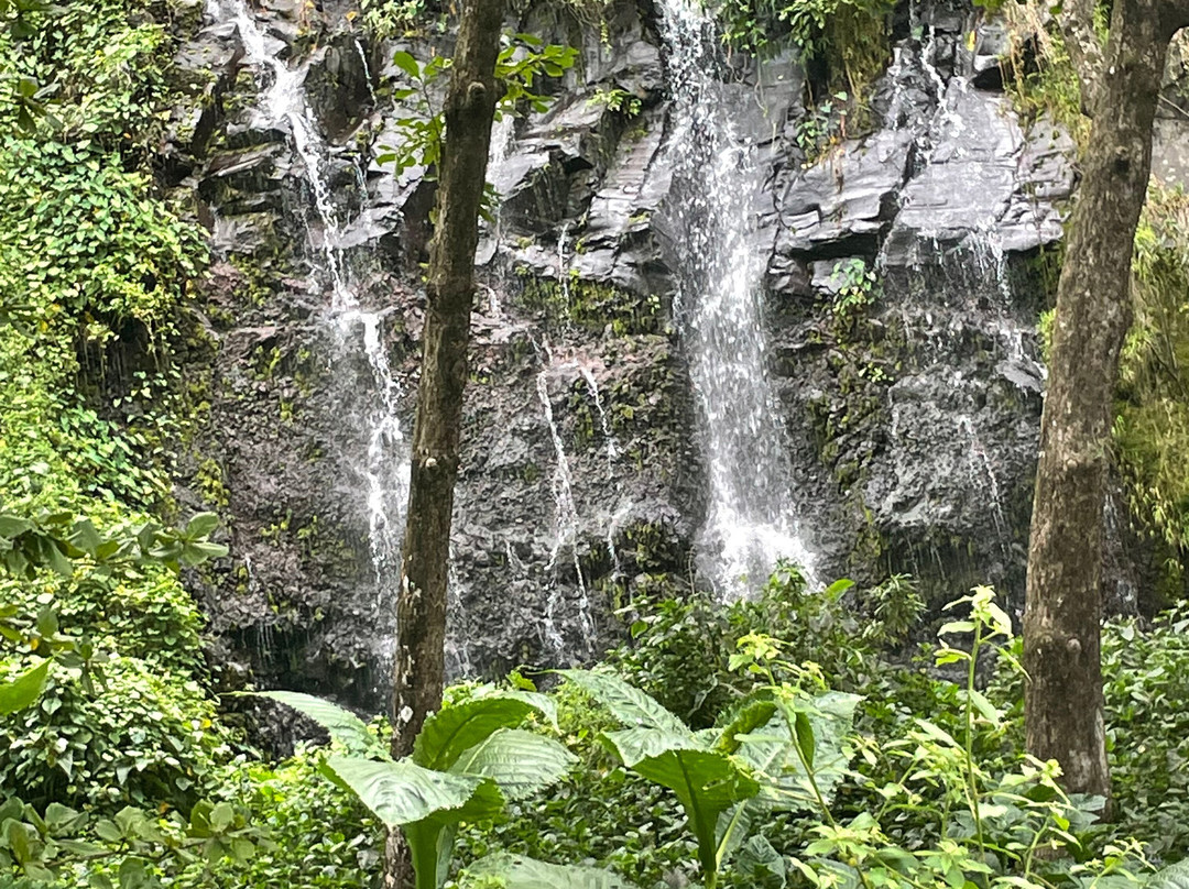 Anse Des Cascades景点图片