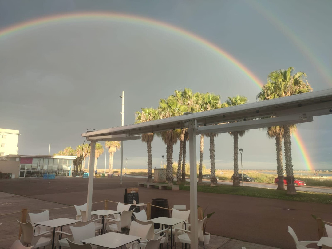 El Moll De La Marina