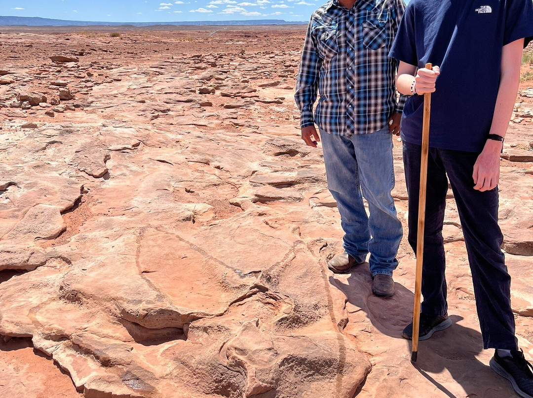 Dinosaur Tracks-蒂巴城必去景点