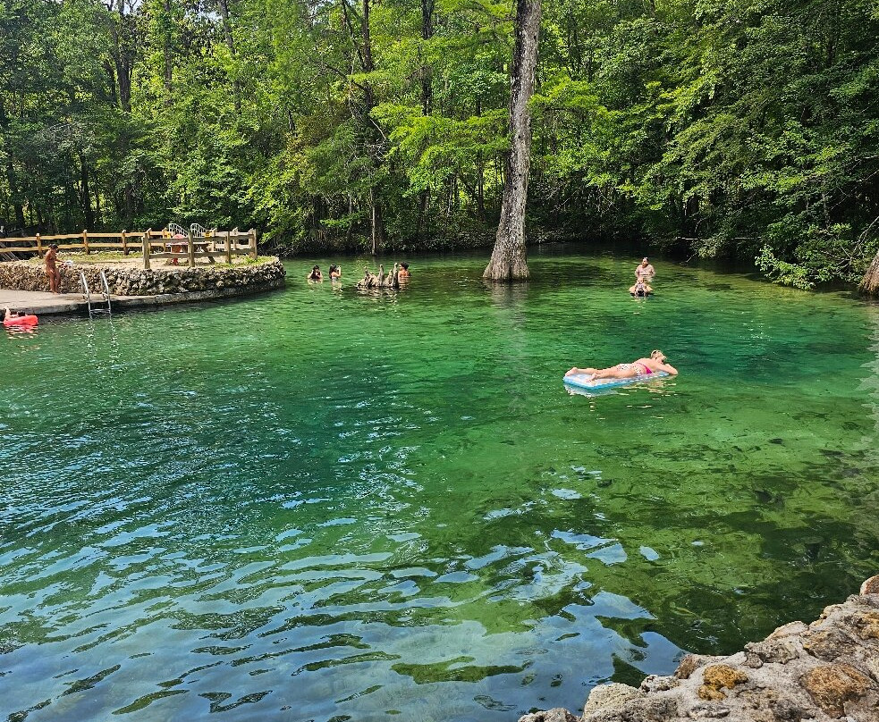Ponce de Leon Springs State Park景点图片