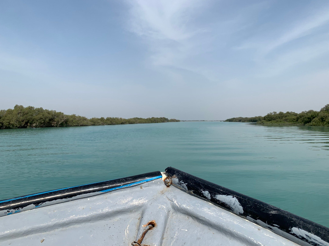 Mangrove Forests of Qeshm景点图片
