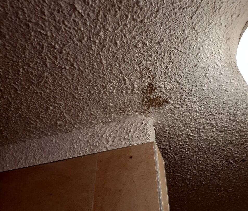 Enzo Hôtel Diane - Logis Amnéville主图