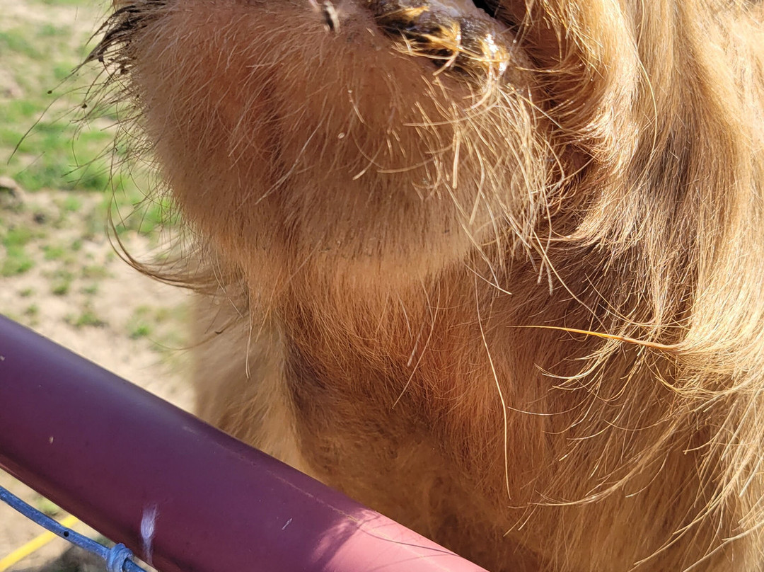 Priority Farm LLC-Sanford必去景点